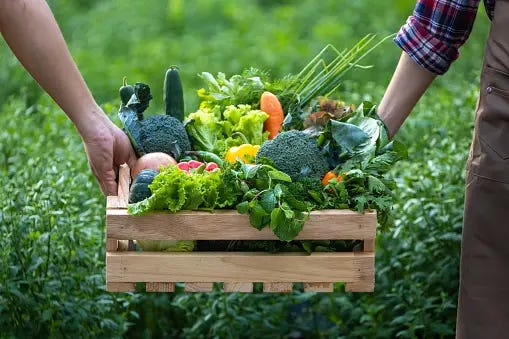 Benefits of organic farming