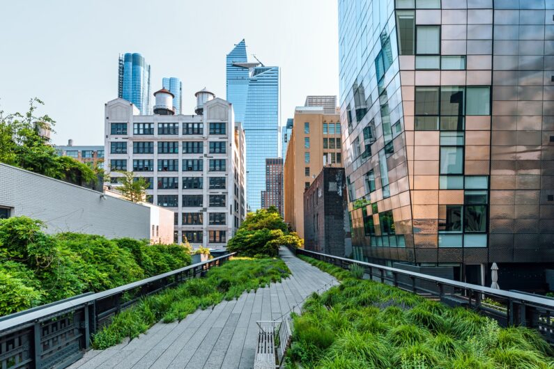 The Benefits of Urban Green Spaces, Enhancing City Life with Real-World Examples