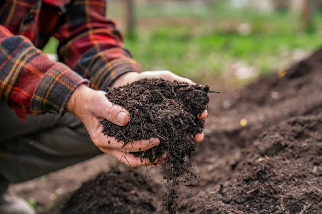 DIY Home Composting Guide